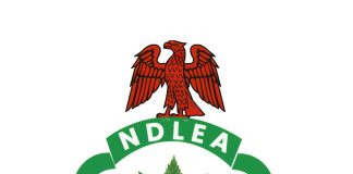 NDLEA Warns Public Over Fake Vehicle Auction Scam Using Officials’ Names