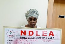 NDLEA Nabs UK-Based Grandma with 13kg Cocaine in Plantain Peels, Uncovers Drug Ring in Anambra