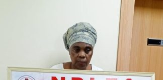 NDLEA Nabs UK-Based Grandma with 13kg Cocaine in Plantain Peels, Uncovers Drug Ring in Anambra