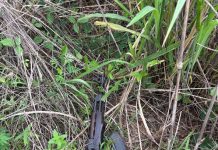 Ogun Police Rescue Abducted Prince of Okun Owa, Neutralise 2 Kidnappers