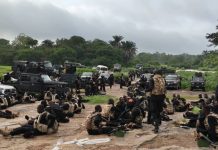Security Forces Rescue Children, Teachers Abducted by Ansaru in Oyo National Forest