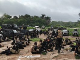 Security Forces Rescue Children, Teachers Abducted by Ansaru in Oyo National Forest