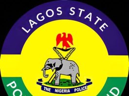 Lagos Police Arrest 5 Suspected Cultists in Apapa, Ijora, Badia Crackdown