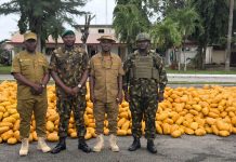 65 Battalion Troops Seize Truck Loaded With Illicit Drugs on Lagos–Calabar Coastal Road