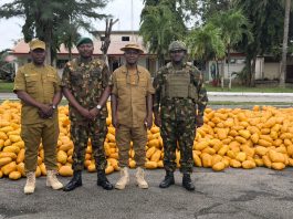 65 Battalion Troops Seize Truck Loaded With Illicit Drugs on Lagos–Calabar Coastal Road