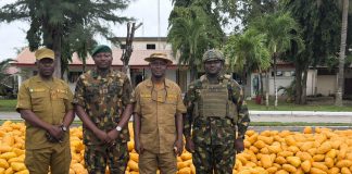 65 Battalion Troops Seize Truck Loaded With Illicit Drugs on Lagos–Calabar Coastal Road