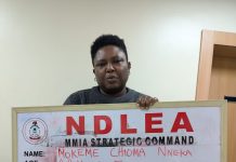 NDLEA Intercepts 1.6 Million Tramadol Pills Bound for Kano, Arrests Octogenarian in Rivers