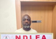 NDLEA Seizes Over N10bn in Drugs, Arrests Traffickers in Lagos, Kaduna, Katsina