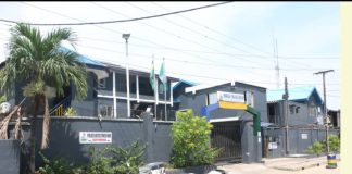 Lagos police nab alleged kingpin of N1bn vehicle fraud syndicate, recover 16 cars