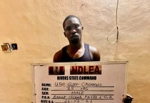 NDLEA Seizes Cocaine Hidden in Mortar, Backpack; Arrests Kingpin in Rivers, Bandits’ Supplier in Zamfara