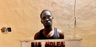 NDLEA Seizes Cocaine Hidden in Mortar, Backpack; Arrests Kingpin in Rivers, Bandits’ Supplier in Zamfara