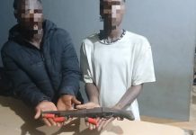 Lagos Police, Vigilante Group Nab 2 Suspected Robbers, Recover Dane Gun in Odogunyan