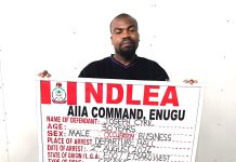 NDLEA Busts Cocaine Smuggling Plots, Recovers Over 3 Tons Of Drugs Nationwide