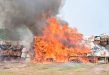 NDLEA Destroys N301bn Worth Of Drugs In Lagos, Vows To Dismantle Cartels