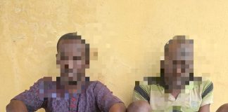 Ogun Police Nab 2 Robbery Suspects, Recover 3 Pistols in Cross-State Operation