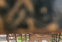 Lagos Police Nab 5 Suspected Telecom Vandals, Recover Truckload of Iron Rods in Ibeju-Lekki