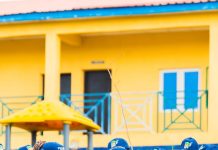 Police Wives Lead Tree-Planting Drive: “Plant Peace, Grow Nigeria, Secure the Future”
