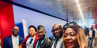 Nigeria’s CPACPI Goes Global as ACPN Unveils Career Framework at FIP Congress