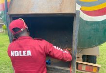 NDLEA Nabs Disguised Cocaine Trafficker, Intercepts Drug-Laden Fuel Tanker in Nationwide Crackdown