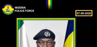 Lagos Police Arrest 4 Over Mob Killing of Driver on Lagos Island