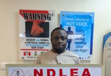 NDLEA Nabs UK Colorado Smugglers, Seizes 785,000 Pregabalin Capsules in Kano