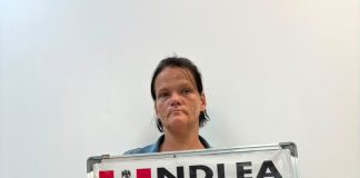 South African Woman Jailed 40 Years for Importing 5.75kg Heroin Into Nigeria
