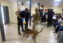 NDLEA, German Police Train Canine Handlers on Advanced Drug Detection