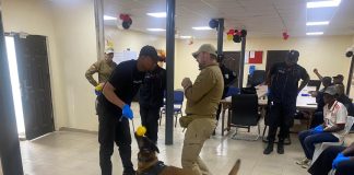 NDLEA, German Police Train Canine Handlers on Advanced Drug Detection