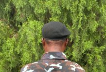 Lagos Police Sanction Inspector Over Viral Video