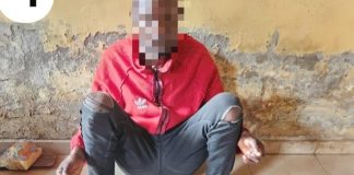 Ogun Police Arrest 11 Suspects, Recover Arms in Statewide Raids