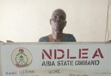 NDLEA Re-Arrests 83-Year-Old Woman For Drug Dealing In Abia, Seizes Tons Of Illicit Drugs Nationwide