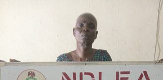 NDLEA Re-Arrests 83-Year-Old Woman For Drug Dealing In Abia, Seizes Tons Of Illicit Drugs Nationwide