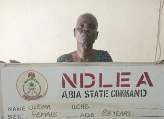 NDLEA Re-Arrests 83-Year-Old Woman For Drug Dealing In Abia, Seizes Tons Of Illicit Drugs Nationwide