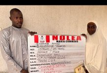 NDLEA Intercepts Palm Oil Concealed Drugs At Kano Airport, N6.98bn Tramadol At Lagos Port