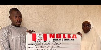 NDLEA Intercepts Palm Oil Concealed Drugs At Kano Airport, N6.98bn Tramadol At Lagos Port