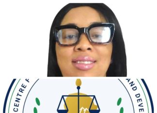 Meet our Executive Director