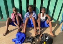 Ogun Police Foil Cult Initiation In Owode-Yewa, Arrest Three Students