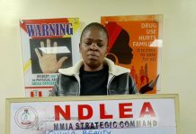 NDLEA Intercepts 36.65kg Cocaine At Lagos Airport, Arrests South African Woman, Grandma