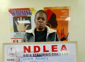 NDLEA Intercepts 36.65kg Cocaine At Lagos Airport, Arrests South African Woman, Grandma