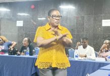 WRAHP Highlights Welfare Of Frontline Social Workers At Lagos Conference