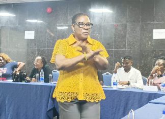 WRAHP Highlights Welfare Of Frontline Social Workers At Lagos Conference