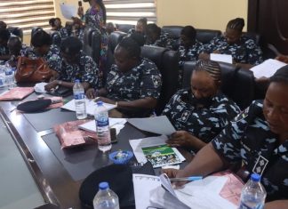 Ogun Police Trained On Survivor-Centred GBV Response, Post-Violence Care