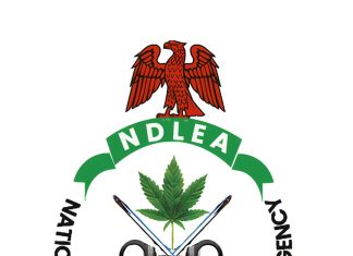 Interior Ministry Recruitment: NDLEA Says Drug Test Is Free