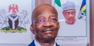Nigeria Needs Federal, State, Community Policing – Ex-IGP Egbetokun